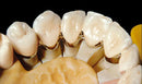 PontoLloyd® G
