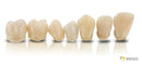 VarseoSmile Crown plus D3